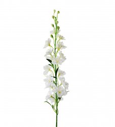 Konstväxt Riddarsporre vit 90cm Delphinium Mr Plant