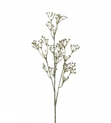 Konstväxt Talinum grön 65 cm Mr Plant