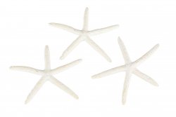 Sjöstjärna dekoration konstjord vit med smala armar